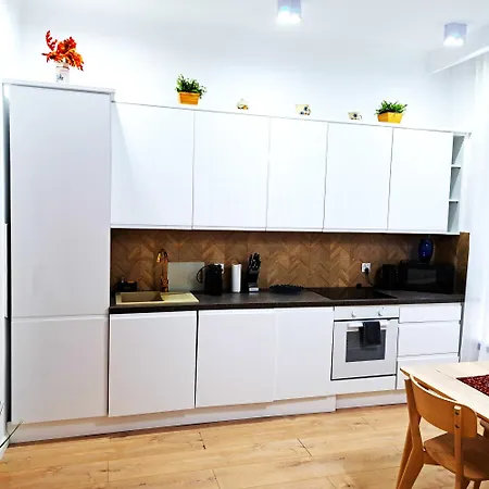 Luxury Ms5 Appartamento Cracovia